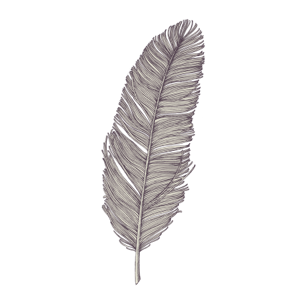 Ilustración antigua de una pluma